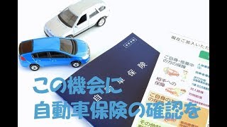 10連休前に確認しよう---自動車保険の「被保険者の範囲」と「補償の対象」