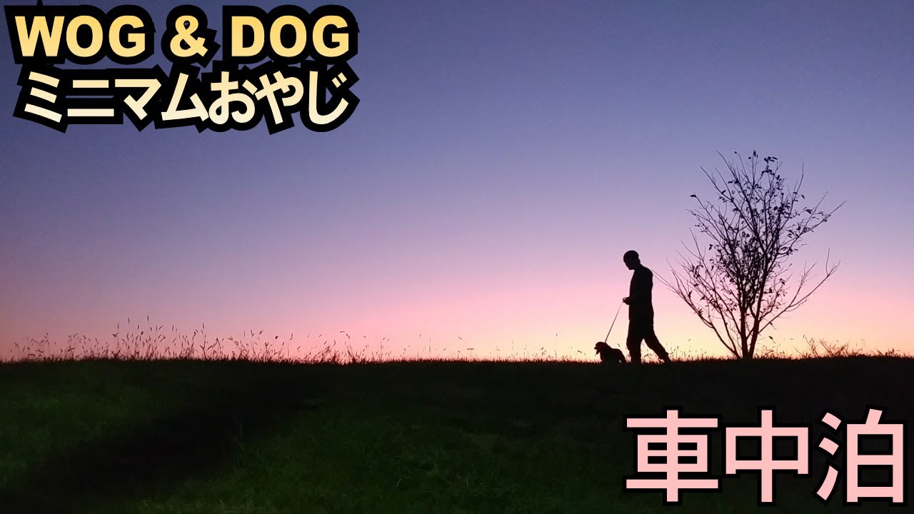 #14【車中泊・1000円晩酌】犬とミニマム旅～熊本「織月くまもん米焼酎」織月酒造