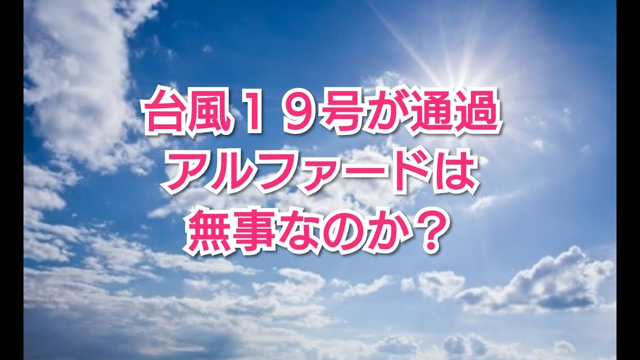 【台風19号が通過…アルファードは無事なのか？】