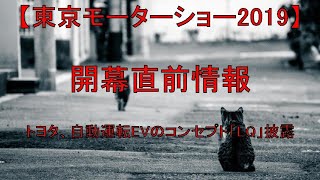 【東京モーターショー2019】開幕直前情報 トヨタ、自動運転EVのコンセプト「LQ」披露