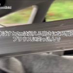 20191008プリウスに2mの脚立突っ込んで龍宮城で回鍋肉ランチ