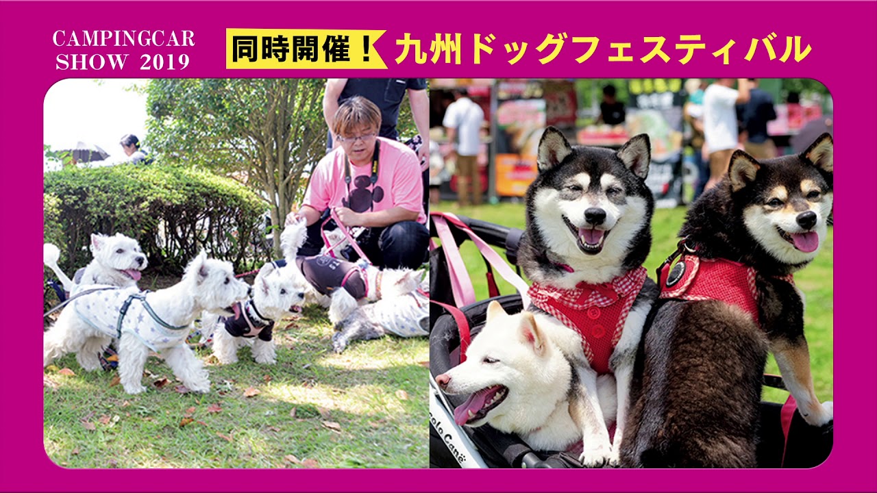 福岡キャンピングカーショー2019(九州ドッグフェスティバル2019)CM