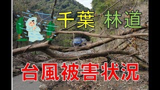 【ジムニー】2019年9月ジムニーで行く林業＆林道アタック【台風】
