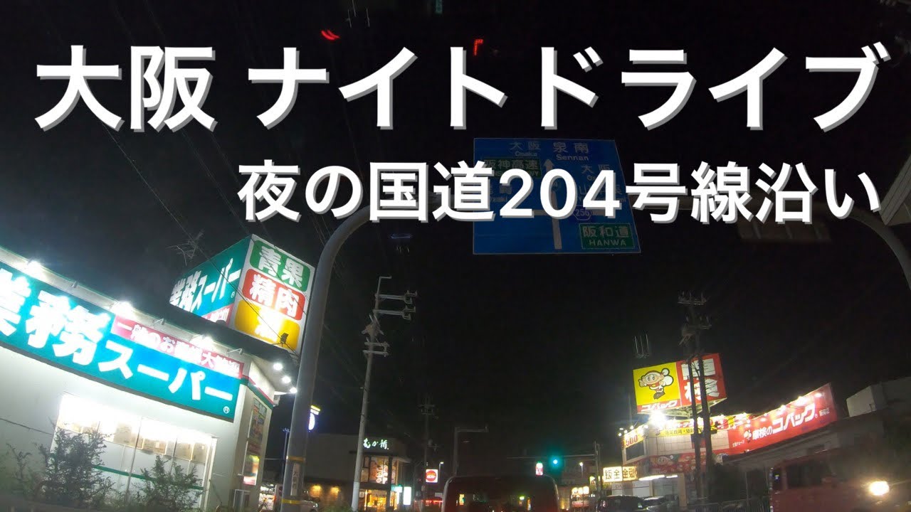 【大阪ナイトドライブ】国道204号線沿いを泉大津へ向けて走る！