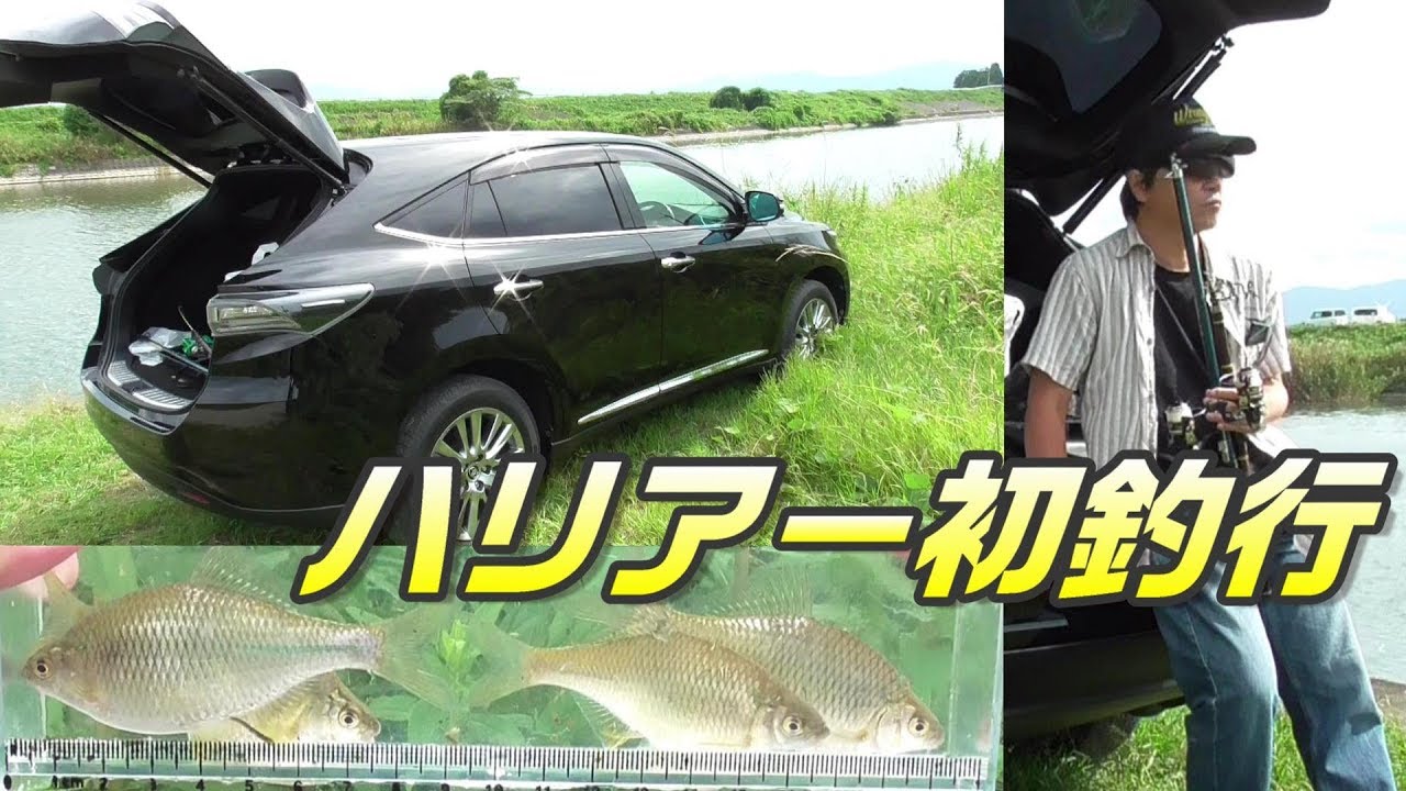 釣り。ハリアーで初釣行！ドライブと小物釣り。　小物釣り44。　カネヒラ　ハリアー60系前期　ウキ釣り　琵琶湖　River Fishing TOYOTA HARRIER