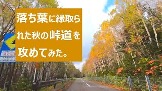 【北海道ドライブ】落ち葉に縁取られた秋の峠道を攻めてみた。【パールスカイライン（道道85号線）・幌鹿峠～然別湖】