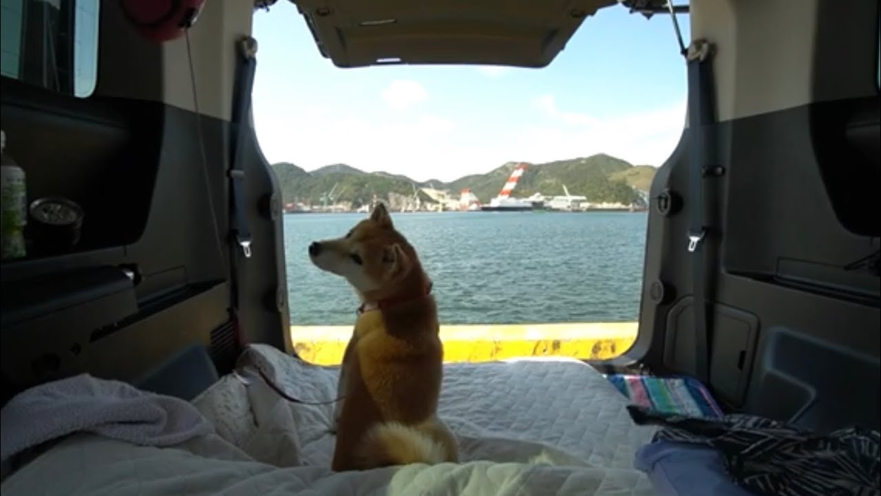 柴犬小春　【天国か地獄か】雨天決行！愛犬と行く車中泊　たつの市 道の駅みつ　三菱新型デリカD:5