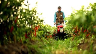 Honda x National Geographic（India’s Natural Farming Methods）
