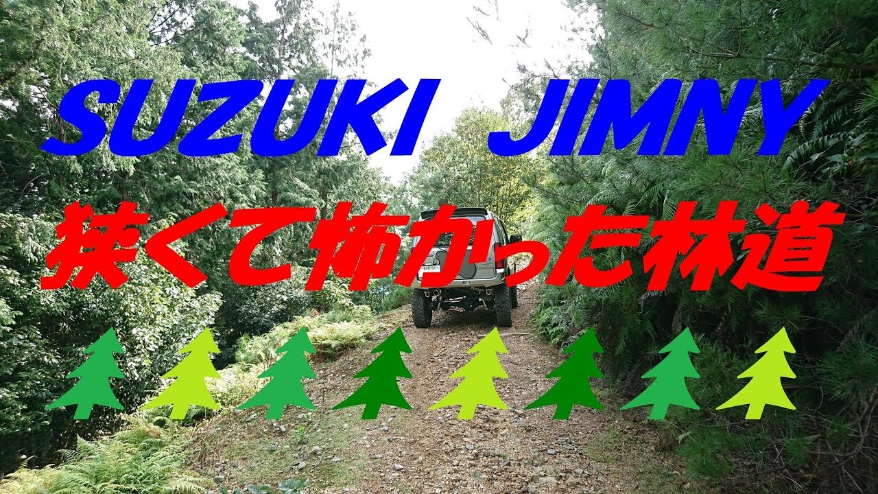 ｼﾞﾑﾆｰJB23 狭くて怖かった🌲林道🌲