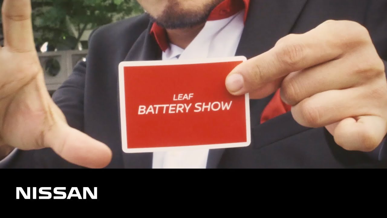 【リーフ】 LEAF BATTERY SHOW