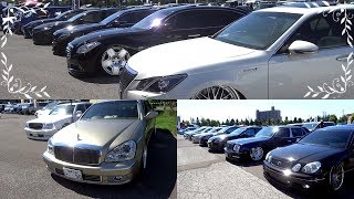 VIP Style cars in JAPAN 🗾 ビップスタイル セダン 軍団様　カスタムカー custom car