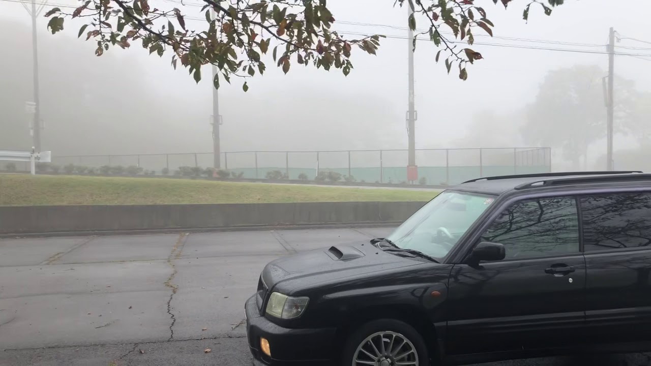 霧のフォレスター