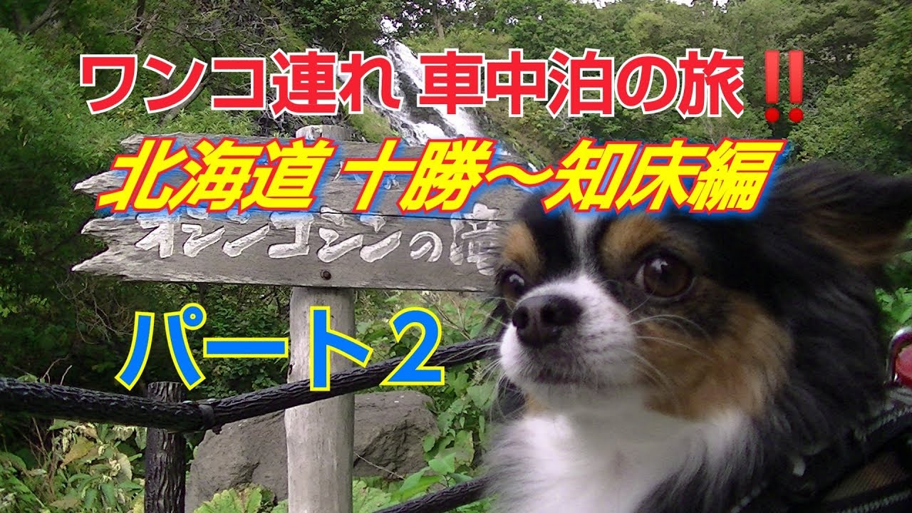 ワンコ連れで行く‼️北海道 車中泊の旅 パート２