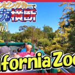 アメリカ横断 サンディエゴ動物園の園内周遊バスを楽しむ☆キャンピングカー旅【12日目】