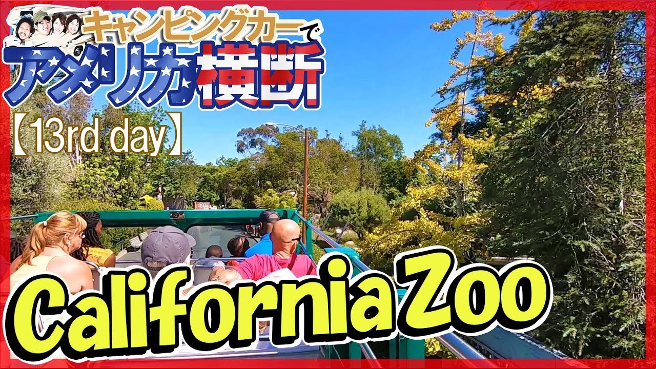 アメリカ横断 サンディエゴ動物園の園内周遊バスを楽しむ☆キャンピングカー旅【12日目】