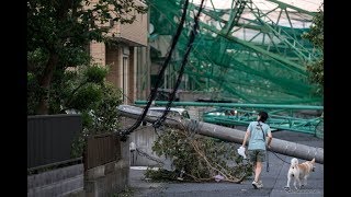 台風15号、車両保険の支払総額は160億円超…日本損害保険協会発表