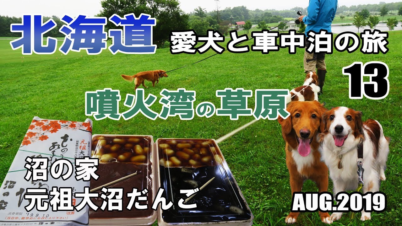 【車中泊】北海道 犬連れ キャンピングカーの旅 2019 EP13 噴火湾の草原と大沼だんご