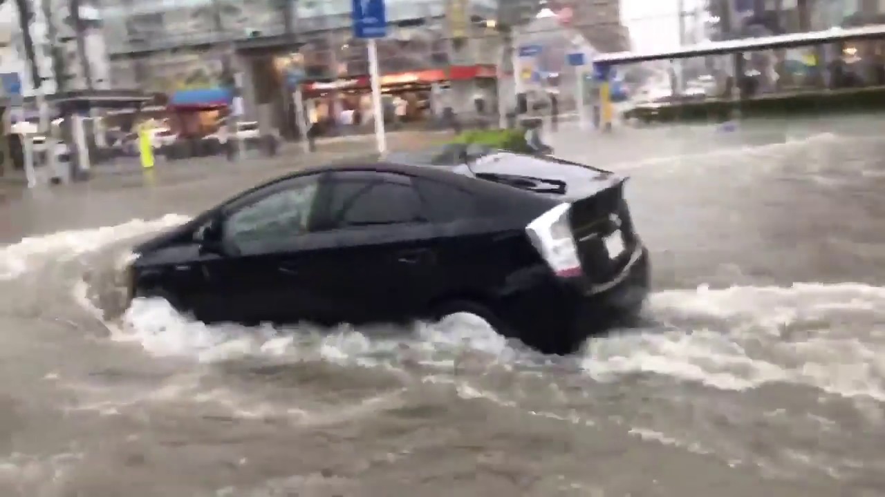 2019年10月今日のプリウス集　煽り運転　信号無視　老害運転