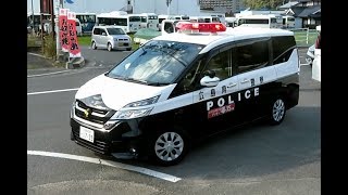 日産セレナの白黒パトカーが交通事故現場に臨場 2019年11月10日