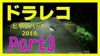 【ドライブレコーダー】交通違反、マナー違反、危険運転ヒヤリハット2019　part3