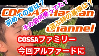 【アルファード30系後期】なぜアルファードにしたのか話します