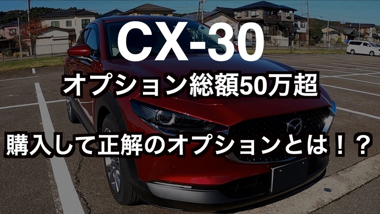 ディーラーオプション50万円分全て紹介！おすすめできる一番良かったオプションはあれ！？