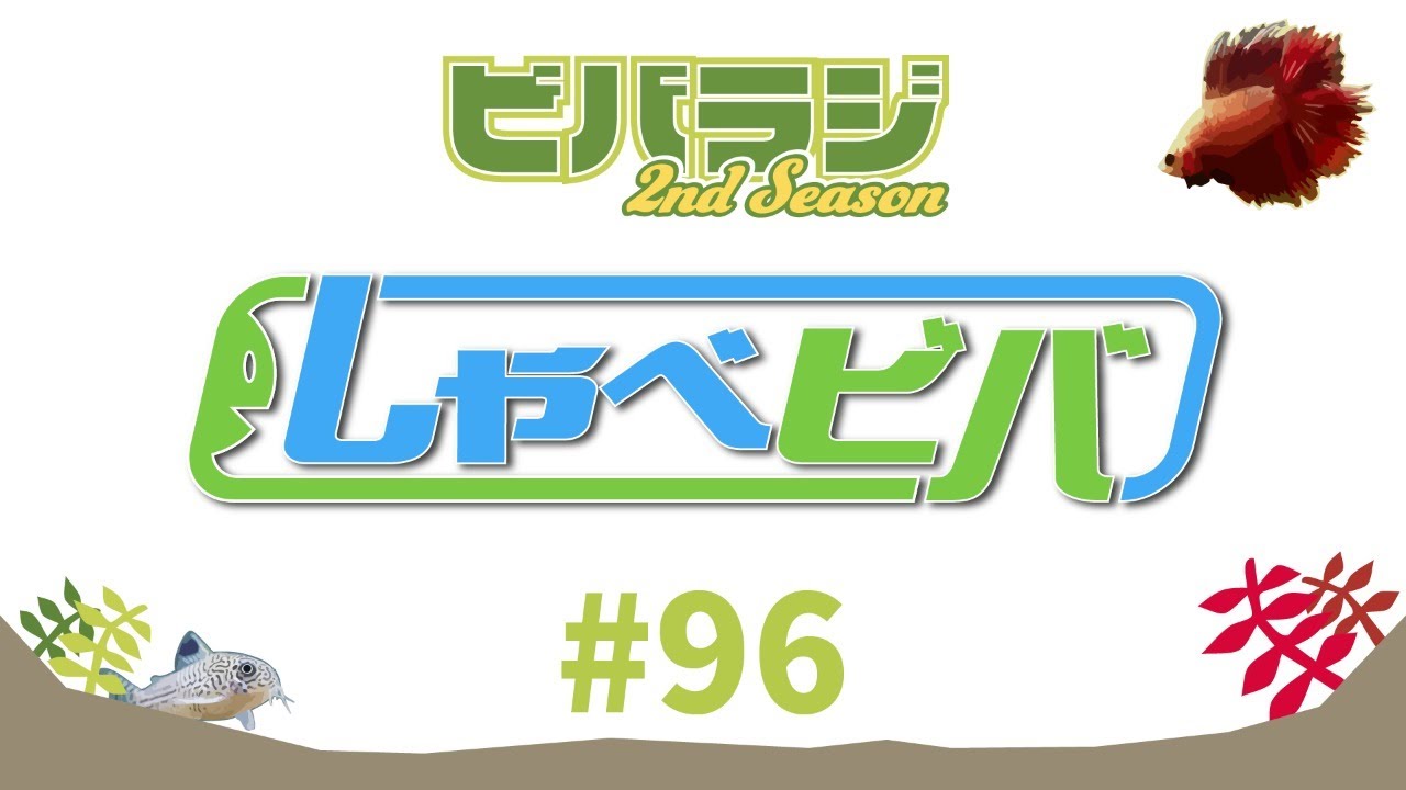 ビバラジ第96回 しゃべビバ まったりアクア雑談