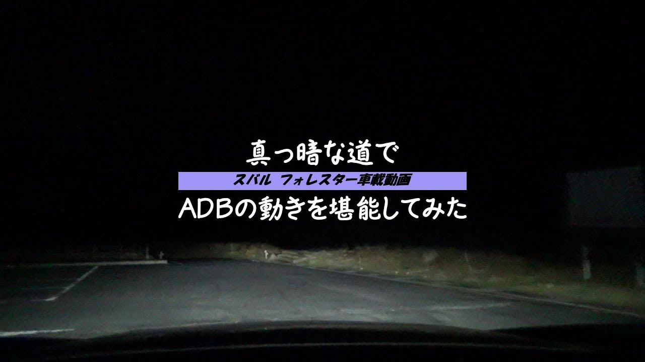【車載動画】漆黒の闇でフォレスターのADBを堪能！