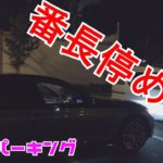 番長停めモードだと!?BMWのオートパーキングマジ卍!#ラフ動画