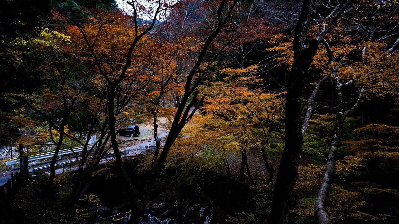 車載動画　徳島紅葉ドライブ３　徳島駅～上勝町　Drive to see the autumn leaves of Kamikatsu Japan. Zero Waste Town