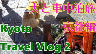 犬と車中泊旅　伏見稲荷大社がヤバすぎた！　八坂通り　抹茶パフェ　KYOTO　travel　vlog