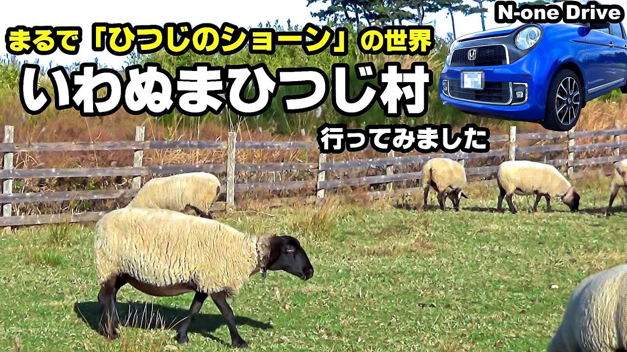 N-oneドライブ 動物好き注目の癒しスポット「いわぬまひつじ村」行ってみました