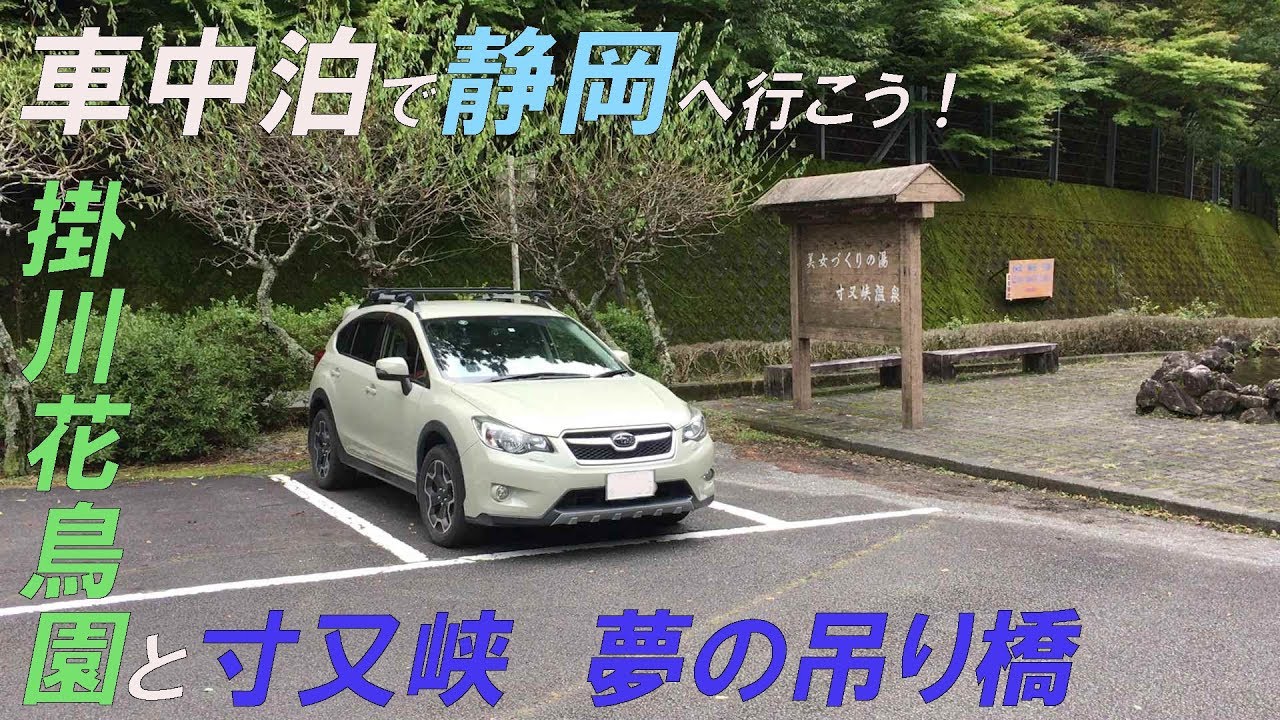 【車中泊で静岡に行こう！】掛川花鳥園と寸又峡【SUBARU XV】