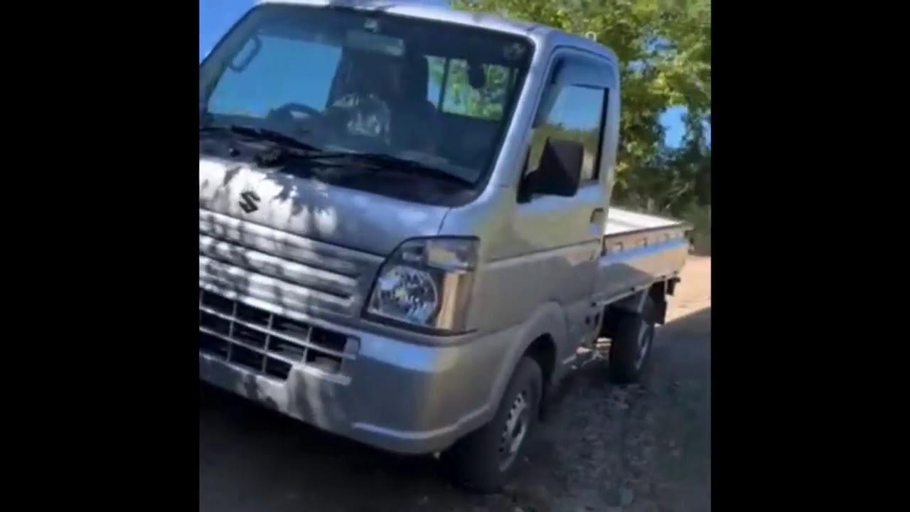 軽トラ　轢かれるーッ！　Suzuki Carry Mini Truck