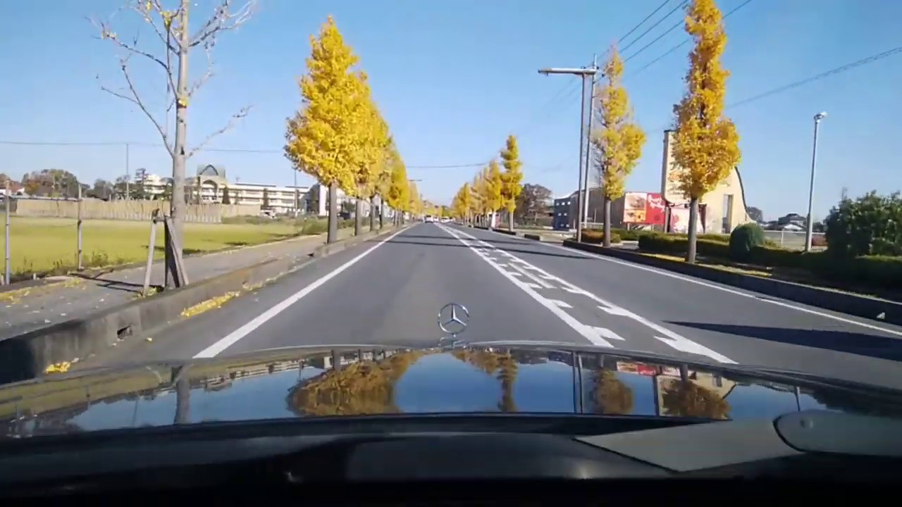 W124 Mercedes-Benz Medium class【Japanese autumn leaves Ginkgo row of trees】part③メルセデスベンツ 銀杏並木