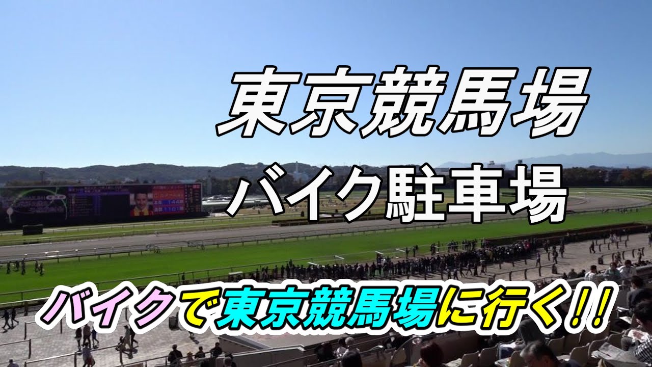 【バイク駐車場】バイクで東京競馬場に行く!!