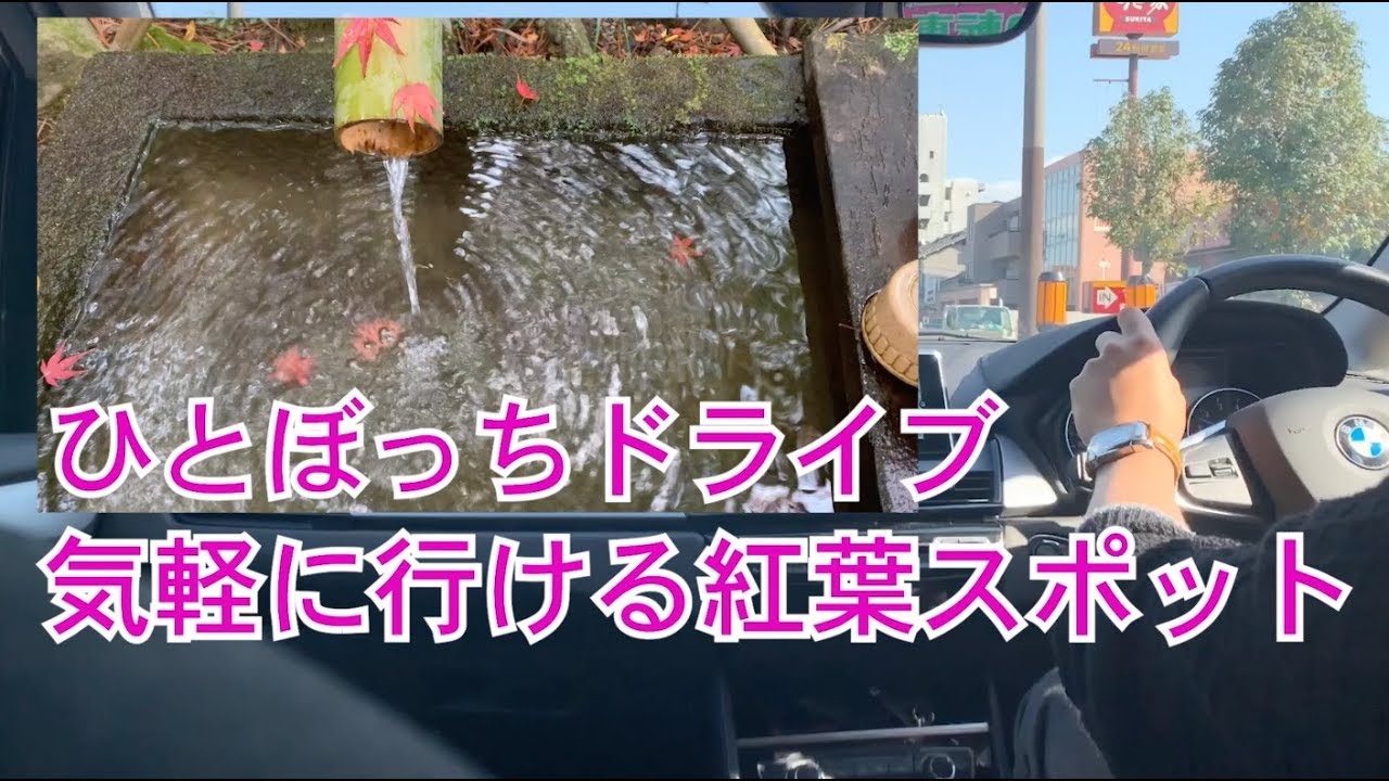 ひとりぼっちドライブ｜大阪のお勧め紅葉スポット