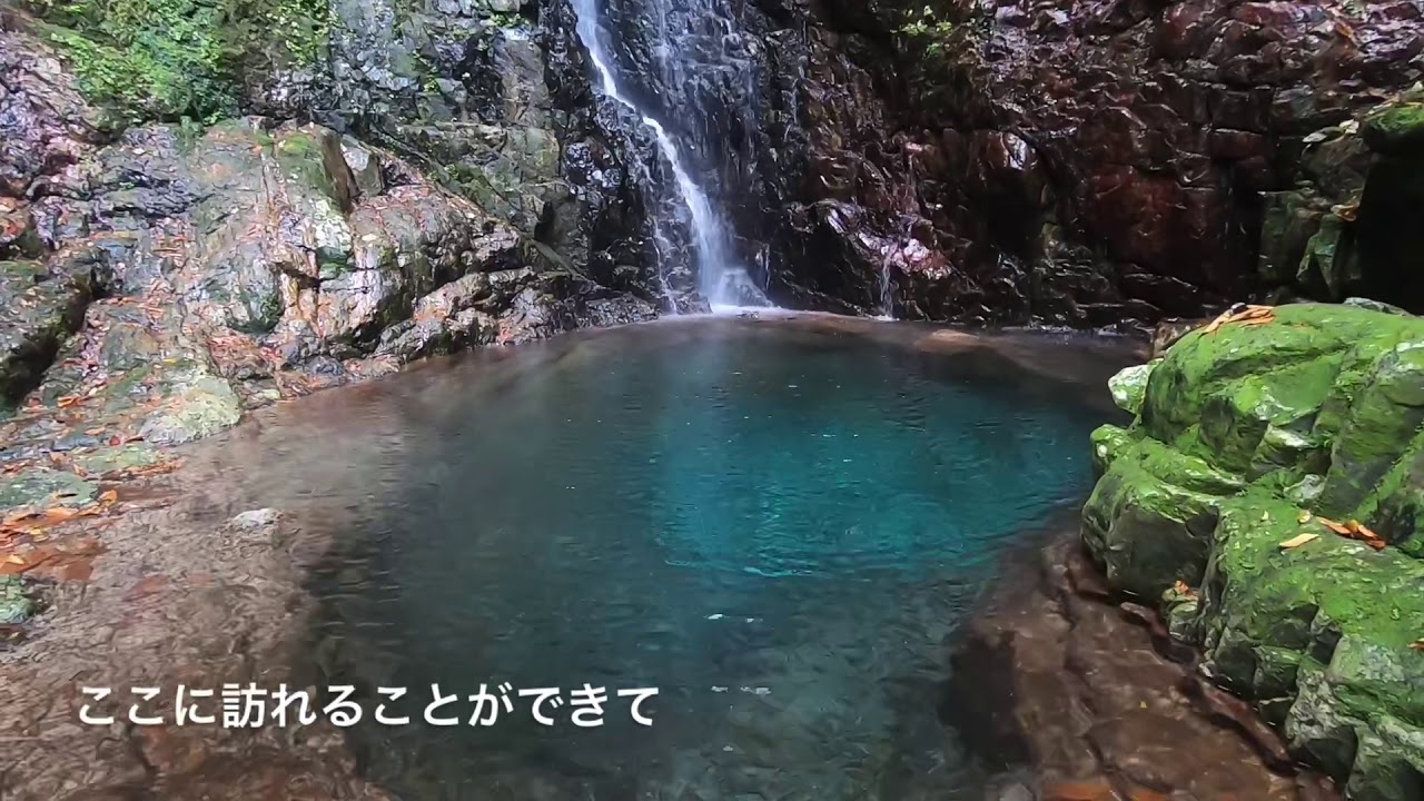 【車中泊】紀伊半島ひとり旅①和歌山県串本町、古座川町、ハリオの滝、植魚の滝、三重県紀宝町ウミガメ公園