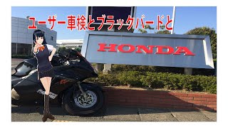 【モトブログ】ユーザー車検とブラックバードと