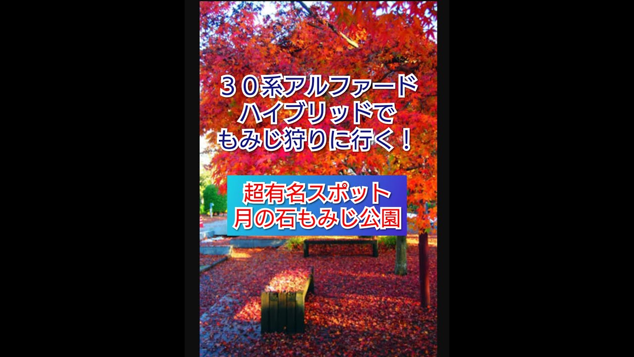 【アルファードで紅葉狩りしてきた】