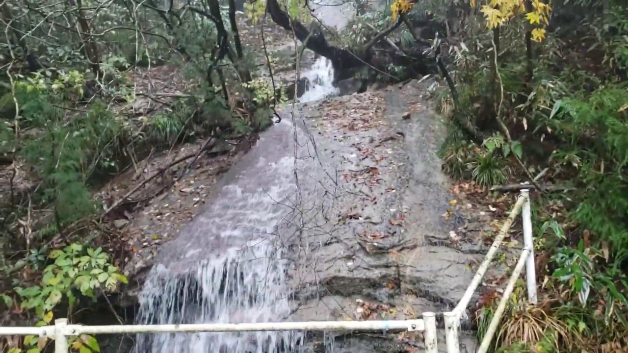 パジェロミニ🚙茨城県加波山①の一本杉峠と丸山林道を走行、向かうは山頂の加波山神社拝殿