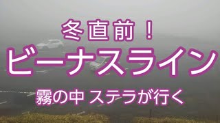 【ドライブ動画】冬直前！ビーナスライン　霧の中 ステラが行く