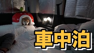 柴犬小春　こたつ持参で車中泊！高知県 海の駅東洋町