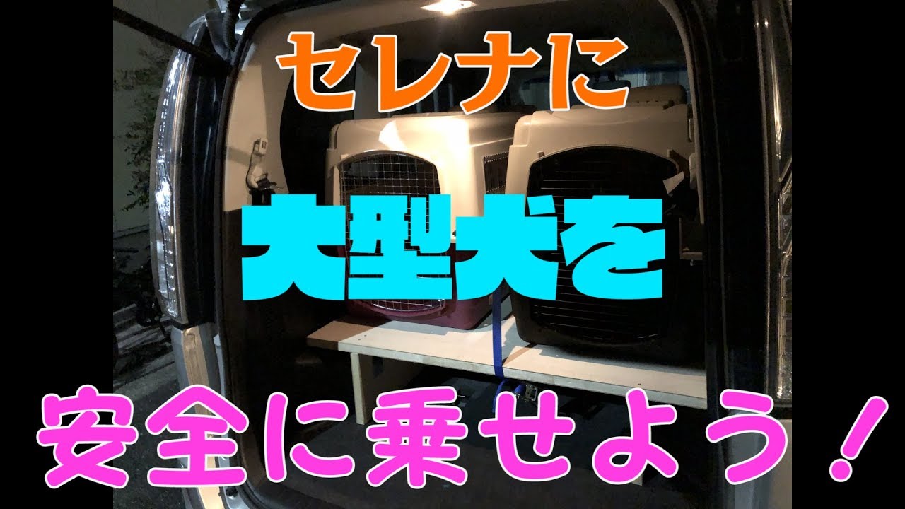 セレナを愛犬と移動できる仕様にする！【セレナ】