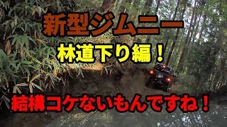 新型ジムニーで林道チェレンジ！下り編！結構コケないもんですね！【ＪＩＭＮＹ】