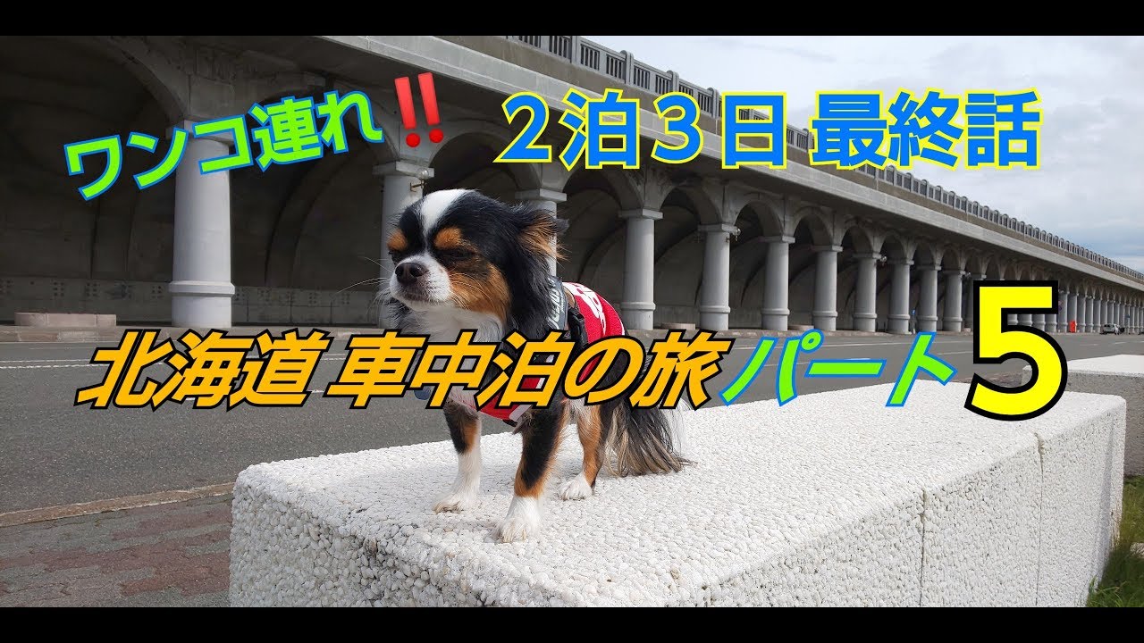 【北海道車中泊】ワンコ連れ‼️２泊３日の旅 最終話