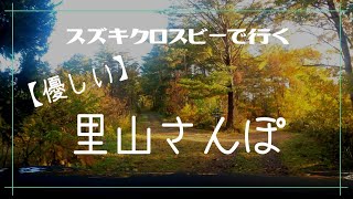 スズキクロスビーで行く【優しい】里山さんぽ