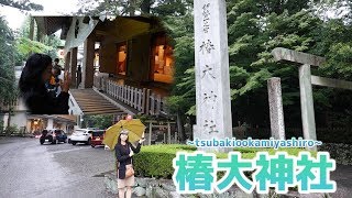 【観光名所】雨の椿大神社参拝と車中泊の準備【日本を感じる旅２】