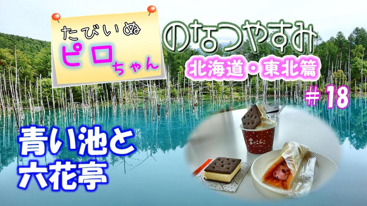 【車中泊でワンコ旅】たびいぬピロちゃんの北海道車中泊の旅 ＃18