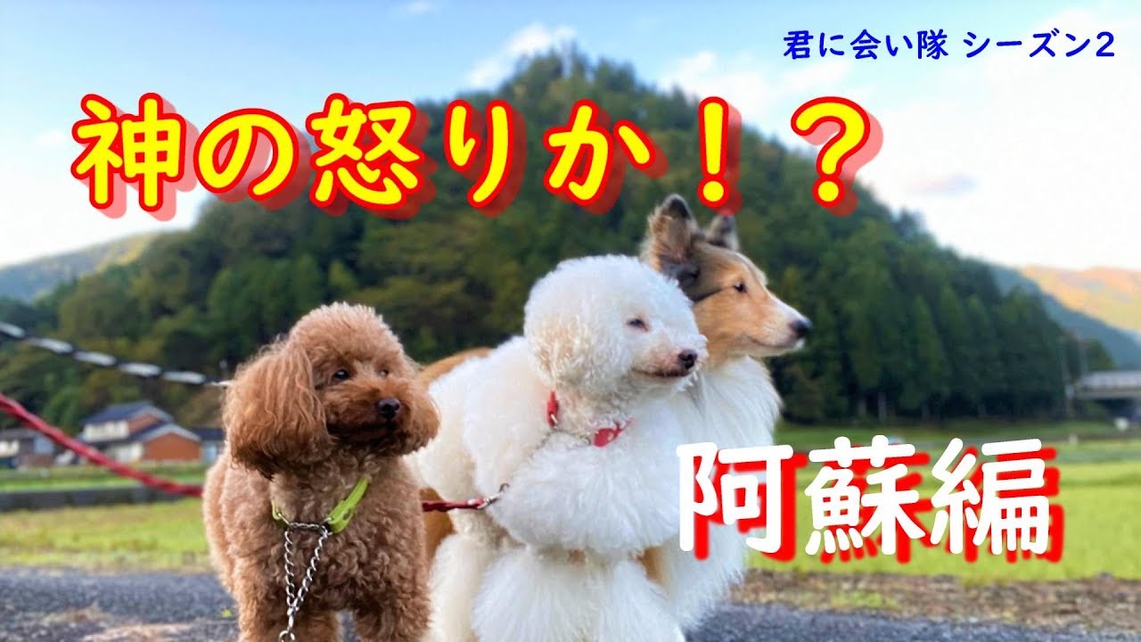 犬連れ車中泊の旅　君に会い隊シーズン2その２「会い隊 阿蘇に立つ」